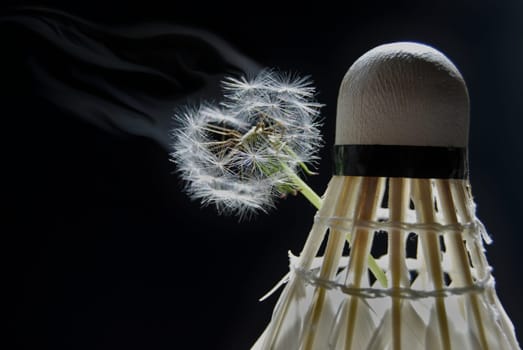 The outline of a dandelion indicates a love of badminton.