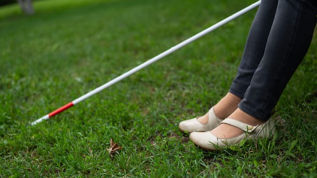 Close-up of the legs of an elderly woman using a tactile cane on a walk in the park