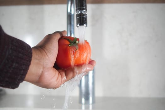 Tomato in the sink. Fresh red tomato.