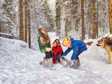 Joyful family ethnic dress with shawls, earflap hats, dog, sledge in winter forest in carnival Maslenitsa in Russia. Tourists in spring Shrovetide. Mother, father, son, daughter having fun in snow