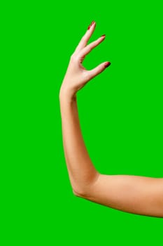 Womans Arm Hand Sign Raised in the Air on green background