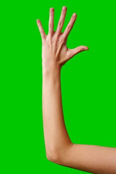 A human hand and part of the forearm are raised against a vivid green backdrop, making a gesture that could signify a number or a symbol. The hand appears to be in motion, capturing the dynamics of human communication and expression.
