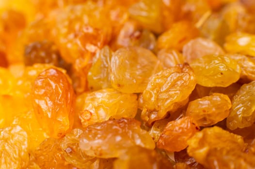 Background of a large number of dried yellow golden grapes. Raisin. Vegetarian diet.