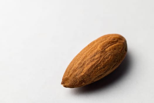 One tonsil on a white background. Almonds close-up, texture visible.