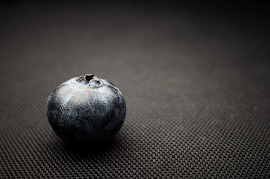 One blueberry black background. Very detailed macro shoot with copy space.