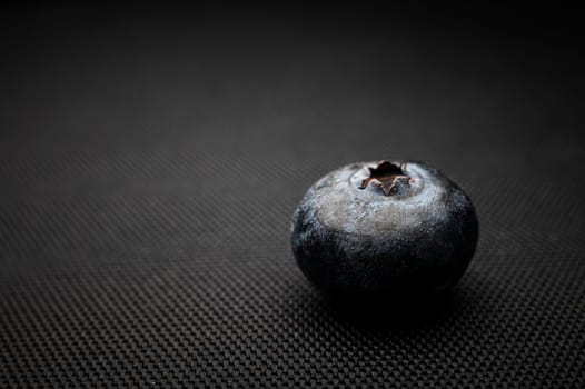 One blueberry black background. Very detailed macro shoot with copy space.