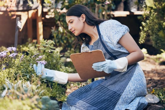 Clipboard, gardening and woman checking flowers for botany, growth or development in nature. Botanist, sustainable and female florist with checklist for floral plants in eco friendly environment