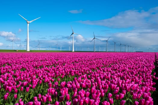 A picturesque scene unfolds with a vast field brimming with vibrant purple tulips, while windmill turbines stand tall in the background against the clear blue sky in the Noordoostpolder Netherlands