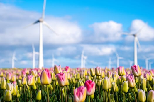 Colorful tulips sway gently in the breeze as windmill turbines stand tall and majestic in the background under a clear blue sky. green energy in Springin the Noordoostpolder Netherlands