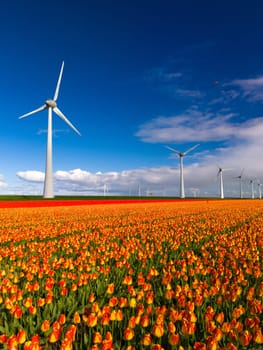 windmill park with spring flowers and a blue sky, windmill park in the Netherlands, Green energy, energy transition