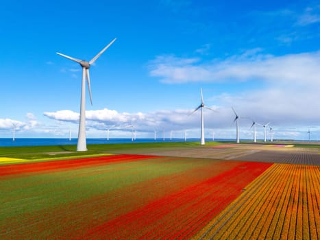 windmill park with spring flowers, windmill park in the Netherlands with wind turbine and tulip flower field Flevoland Netherlands, Green energy, energy transition, carbon neutral, Earth day