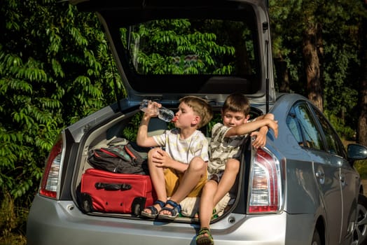 Two cute boys sitting in a car trunk before going on vacations with their parents. Two kids looking forward for a road trip or travel. Summer break at school. Family travel by car.