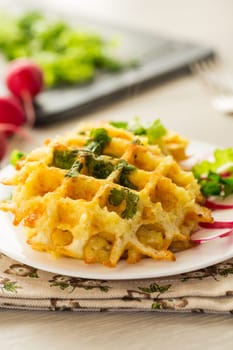 fried crispy vegetable potato waffles .