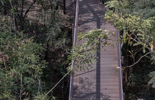 View of a beautiful wooden suspension bridge in the middle of the forest surrounded by lush green forest on a sunny morning. Sunlight through the leaves, Wooden bridge crossing forest tropical eco-park, Beauty nature scene. Copy space, Selective focus.