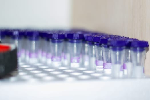 A row of test tubes with purple lids are neatly lined up on the laboratory shelf, creating a colorful display of violet and magenta hues