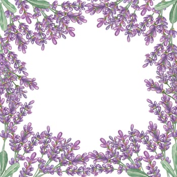 Lavender flowers, purple and violet square frame. Wildflower wreath, vintage floral design. Botanical hand drawn watercolor illustration template for wedding invitation, cards, gift tag, bridal design