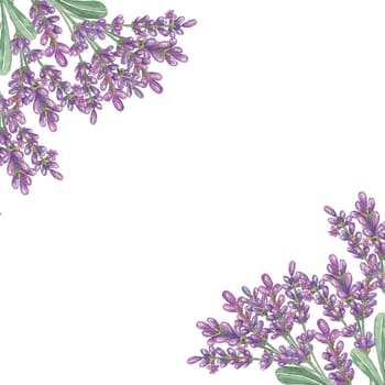 Lavender flowers, purple and violet square frame. Wildflower wreath, vintage floral design. Botanical hand drawn watercolor illustration template for wedding invitation, cards, gift tag, bridal design
