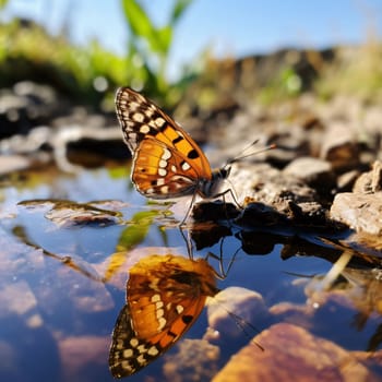 Beautiful spring illustration: Butterfly on a rock in the water. Selective focus.
