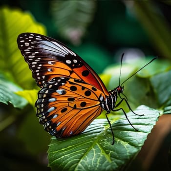 Beautiful spring illustration: Butterfly on the leaf in the garden, nature background.