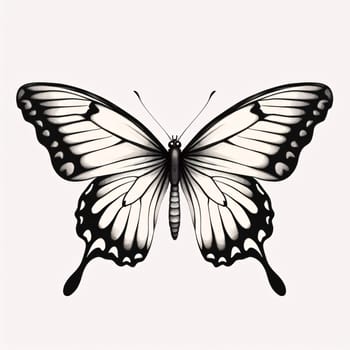 Beautiful spring illustration: Butterfly isolated on white background. Vector illustration. Eps 10