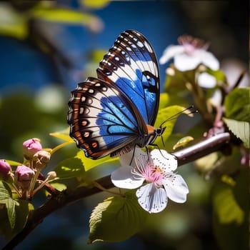 Beautiful spring illustration: Butterfly on a branch of a blooming apple tree in spring