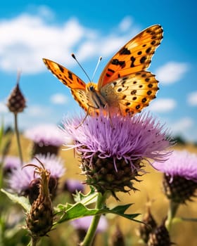 Beautiful spring illustration: Butterfly on a thistle flower in the meadow.