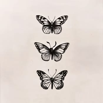 Beautiful spring illustration: butterflies on a white background, butterflies on a white background