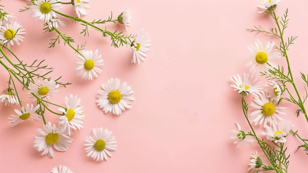 Banner, top view of tiny daisies on a bright background, space for your own content. Flowering flowers, a symbol of spring, new life. A joyful time of nature waking up to life.