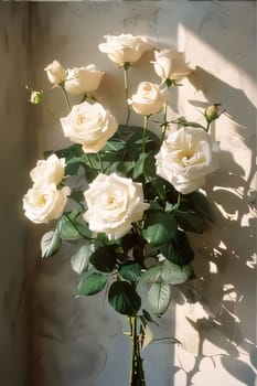 A bouquet of white roses on the background of a bright wall. Flowering flowers, a symbol of spring, new life. A joyful time of nature waking up to life.