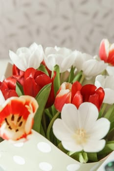 Celebration of Beauty: Tulips in Close-up as a Gift for March 8th