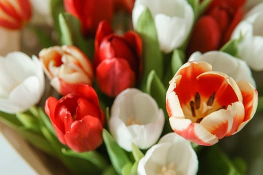 Spring Gift: Bright Tulip Bouquet for a Special March 8th Celebration