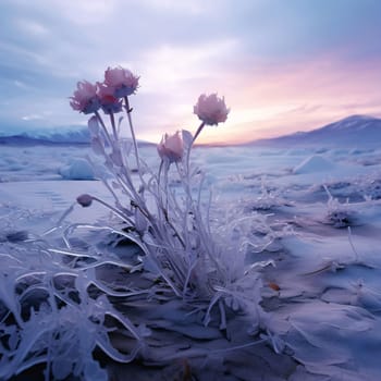 Delicate blue flowers. A sunset in the back. Flowering flowers, a symbol of spring, new life. A joyful time of nature waking up to life.