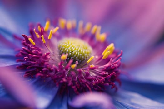 A close-up view of the pink interior, of a flower, its petals. Flowering flowers, a symbol of spring, new life. A joyful time of nature waking up to life.