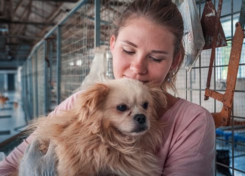 close-up shot of female volunteer holds on hands dog in shelter