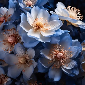 An aerial view of blue and white flowers. Flowering flowers, a symbol of spring, new life. A joyful time of nature waking up to life.