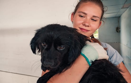 close-up shot of female volunteer holds on hands dog in shelter