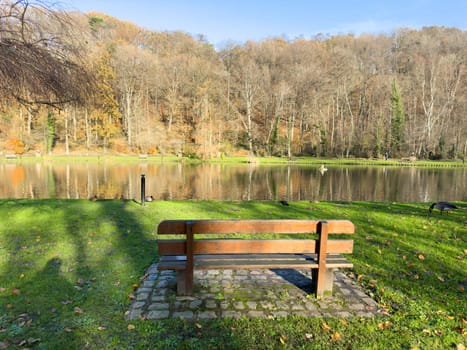 Empty wooden bench in front of a lake in late autumn landscape park in Belgium