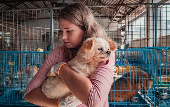 Female volunteer holds on hands little dog in shelter