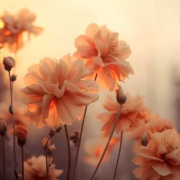 Orange flowers and buds in the morning.Flowering flowers, a symbol of spring, new life.A joyful time of nature waking up to life.