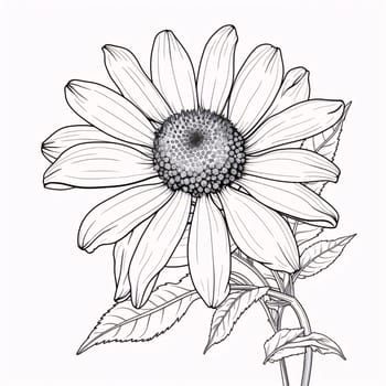 Black and white coloring sheet, sunflower. Flowering flowers, a symbol of spring, new life. A joyful time of nature waking up to life.