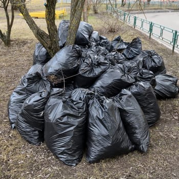 Spring garbage and last year's leaves in black bags near tree