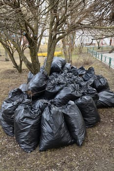 Spring garbage and last year's leaves in black bags near tree