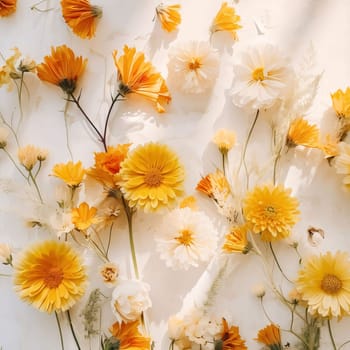 Arranged white and orange flowers with stems, top view. Flowering flowers, a symbol of spring, new life. A joyful time of nature waking up to life.