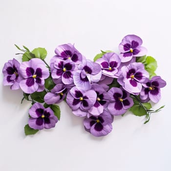 Pink and purple pansies flowers on a solid light background. Flowering flowers, a symbol of spring, new life. A joyful time of nature waking up to life.