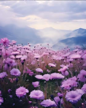 Green clearing full of pink flowers on the background of mountain ranges. Mist in the background. Flowering flowers, a symbol of spring, new life. A joyful time of nature awakening to life.