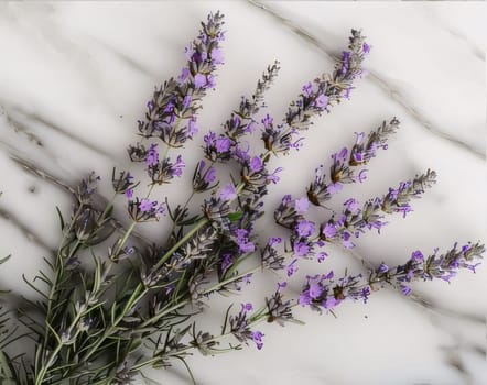 Bouquet of lavender flowers lying on a marble background. Flowering flowers, a symbol of spring, new life. A joyful time of nature awakening to life.