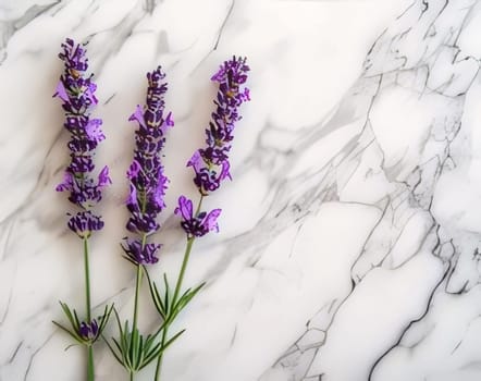 Bouquet of lavender flowers lying on a marble background. Flowering flowers, a symbol of spring, new life. A joyful time of nature awakening to life.