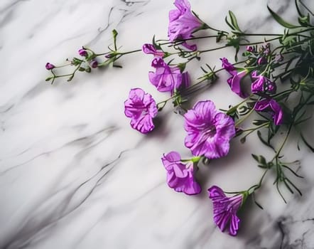 Purple flowers lying on a marble background. Flowering flowers, a symbol of spring, new life. A joyful time of nature awakening to life.