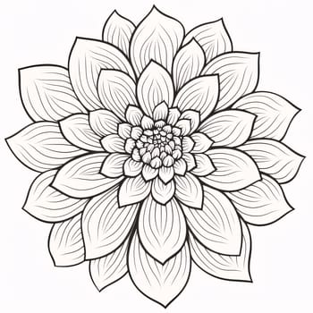Black and white coloring sheet white dahlia flower. Flowering flowers, a symbol of spring, new life. A joyful time of nature awakening to life.