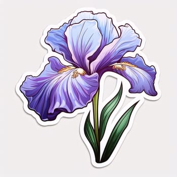 Sticker eye purple, blue iris flower. Flowering flowers, a symbol of spring, new life. A joyful time of nature awakening to life.